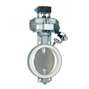 Butterfly Valves